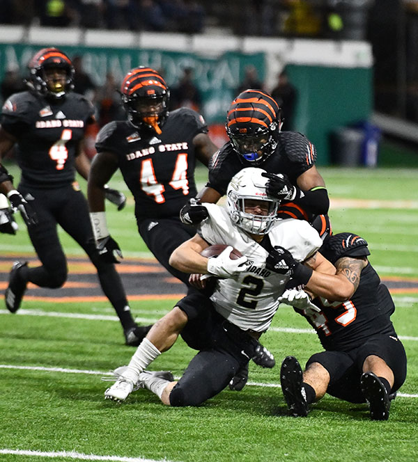 Bengals tackling a Vandal