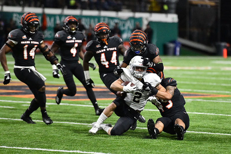 Bengals vs Vandals