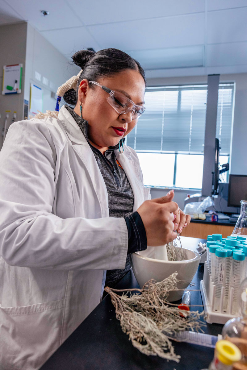 Veronica Miller grinds sagebrush using a mortar and pestle