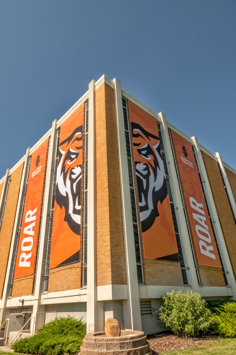 Roar banners on the fine arts building
