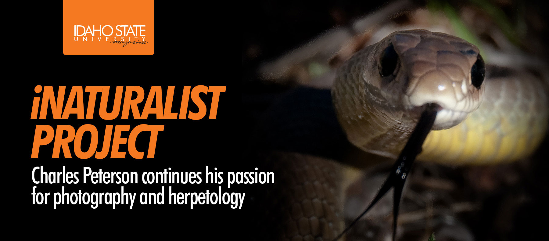 iNaturalist project - Charles Peterson continues his passion for photography and herpetology