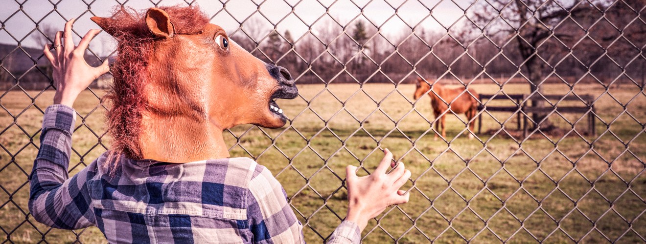 Man in horse mask