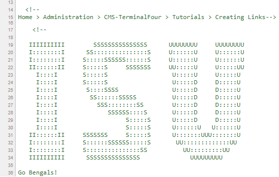 A screenshot of HTML source code