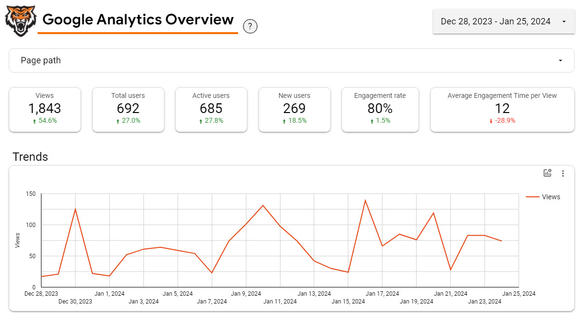Screenshot of an analytics dashboard