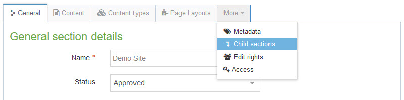 Screenshot of the More tab and Child sections option