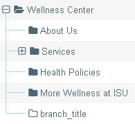 Site structure for the wellness center