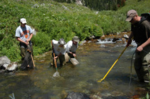 ISU students search for trout.