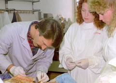 Dr. Jeff Meldrum demonstrates dissection technique to Physical Therapy graduate students.