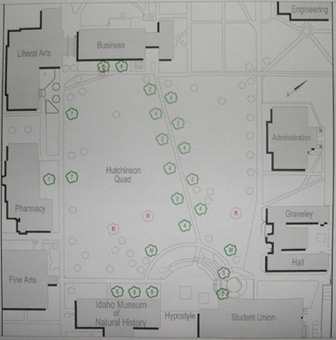 Quad new tree map.