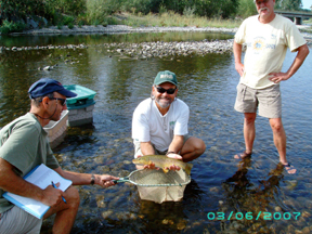 Nice trout from the Big Wood River.