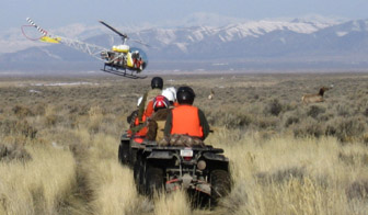 Photo Credit: Jessie Thiel. Researchers herding elk. 