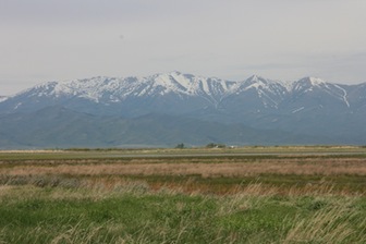 Centennial Marsh