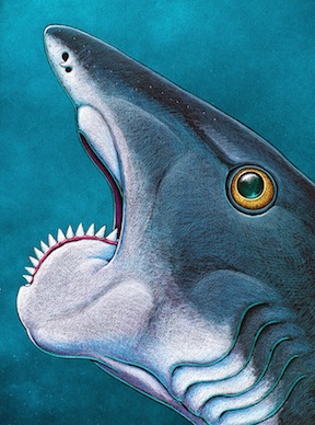 Artist conception of Helicoprion by illustrator and artist Ray Troll.