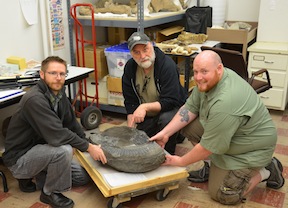 Leif Tapanila, Ray Troll, and Jesse Pruitt with a giant Helicoprion.