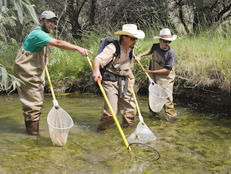 From left, doctoral student Kaleb Heinrich, Associate Professor Colden Baxter and recent ISU biological sciences graduate Alex Bell are shown electro-shocking Deep Creek gathering data for new studies. (ISU Photographic Services Photo by Susan Duncan)