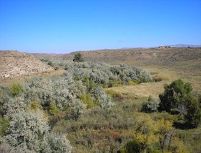 ISU Deep Creek study site after the spread in 2006 (Colden Baxter photo)