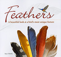 'Feathers: A Beautiful Look at a Bird's Most Unique Feature' book cover. 