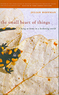 'The Small Heart of Things: Being at Home in a Beckoning World' book cover. 