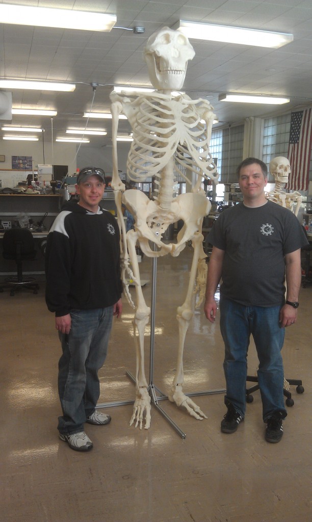 Rob Shroll, left, and Geran Call with the 3-D mock bigfoot skeleton.