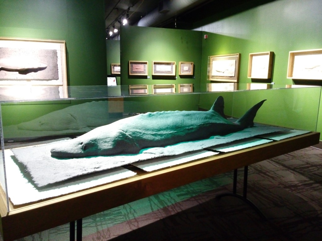 A sculpture of a sturgeon, one of 39 if Idaho fish species that needs to be replaced.