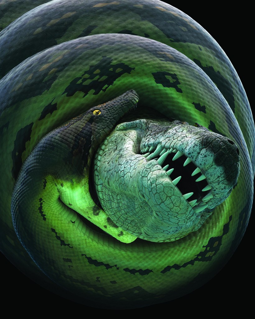 Measuring 48 feet long and weighing in at 2,500 pounds, the massive predator Titanoboa cerrejonensis could crush and devour a crocodile. ©2012 SNI/SI Network, LLC. All rights reserved.