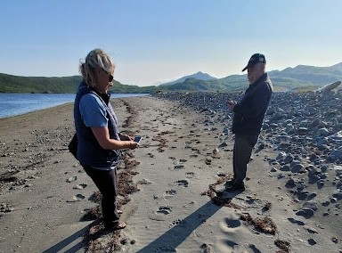 Bear prints in the sand